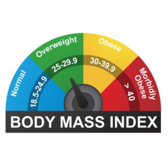 What Is BMI & Why Is It Important?